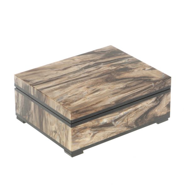 Шкатулка из окаменелое дерево 11,5х9х4,5 см 127603